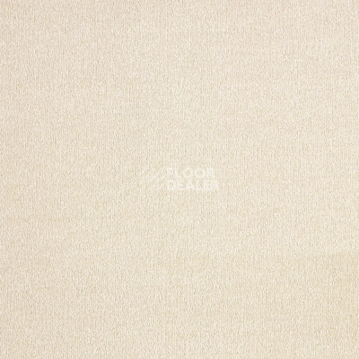 Ковролин AW Sentiment 35 фото 1 | FLOORDEALER